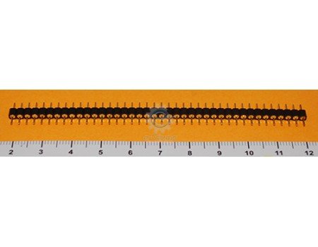 Male Header 40-Pins Gold 2.54mm Pitch