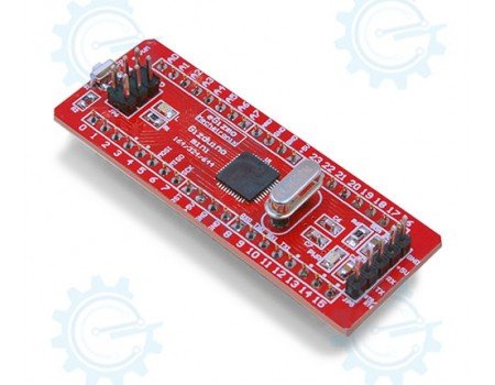 gizDuino + Mini with ATmega164 with pins