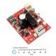 Hybrid Driver 2r0 for DC Motors ( 12/24V )