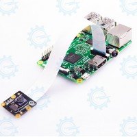 Raspberry Pi NoIR Camera Module V2