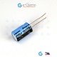 Rulycon 2200UF/16V CEW (TWSS) Electrolytic Capacitor