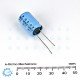 Rulycon 2200UF/16V CEW (TWSS) Electrolytic Capacitor Rulycon 2200UF/16V CEW (TWSS) Electrolytic Capacitor