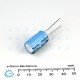 Rulycon 2200UF/16V CEW (TWSS) Electrolytic Capacitor Rulycon 2200UF/16V CEW (TWSS) Electrolytic Capacitor