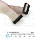 IDC Flat Ribbon Connector 18P Female/Female 2.54mm pitch IDC Flat Ribbon Connector 18P Female/Female 2.54mm pitch