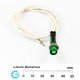 NLG01 Neon Pilot Light Indicator Green NLG01 Neon Pilot Light Indicator Green