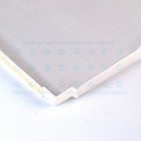 Extruded Acrylic 455W x 260L x 2T mm Clear with Diffuser Side AC3