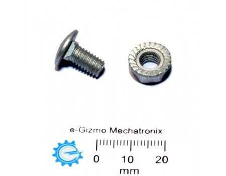 Carriage Bolt & Nut M6x12