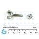 Butterfly Wing Bolt M4x20mm with M4 Flanged Nut