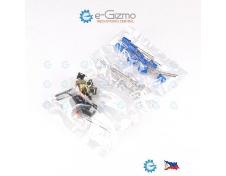 e-Gizmo Electronics Experimenter Starter Kit