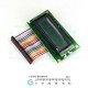 Winstar Graphics LCD Module 122 x 32 pixels WG12232A with Connector Winstar Graphics LCD Module 122 x 32 pixels WG12232A with Connector