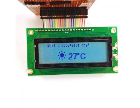 Winstar Graphics LCD Module 122 x 32 pixels WG12232A with Connector Winstar Graphics LCD Module 122 x 32 pixels WG12232A with Connector