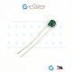 10K NTC Thermistor TTC05103JSY d5mm 10K NTC Thermistor TTC05103JSY d5mm