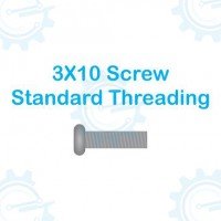3X10 Screw