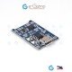 Enhanced TP4056 Micro USB Port Li-ion Charger Module 1A with BMS Protection Enhanced TP4056 Micro USB Port Li-ion Charger Module 1A with BMS Protection